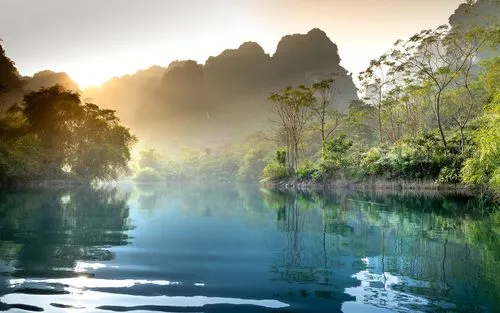 先进全自动高端